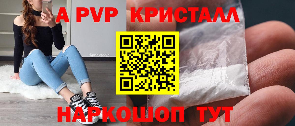 A-PVP СК КРИС Владимир
