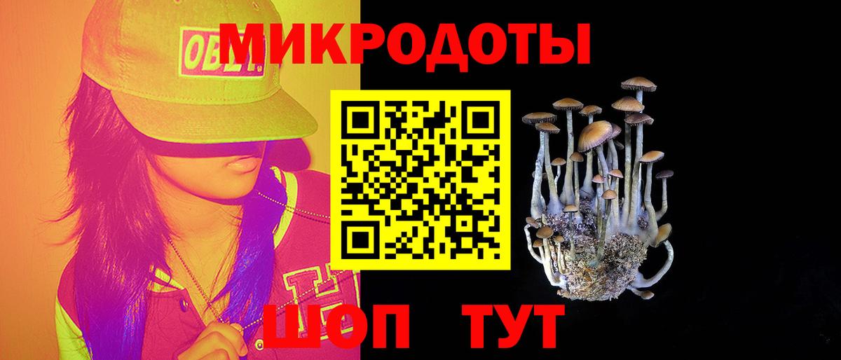 Псилоцибиновые грибы MAGIC MUSHROOMS  Вход с VPN  Владимир  Галлюциногенные грибы ЛСД 